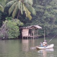 Madu River Boat Safari ($20/pax)