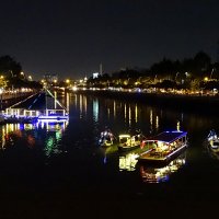 Dinner cruise on the river ($37/pax)