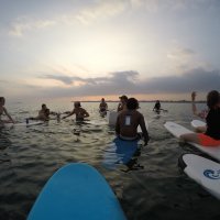 "The Surfer" surf camp Weligama (from $200/pax)